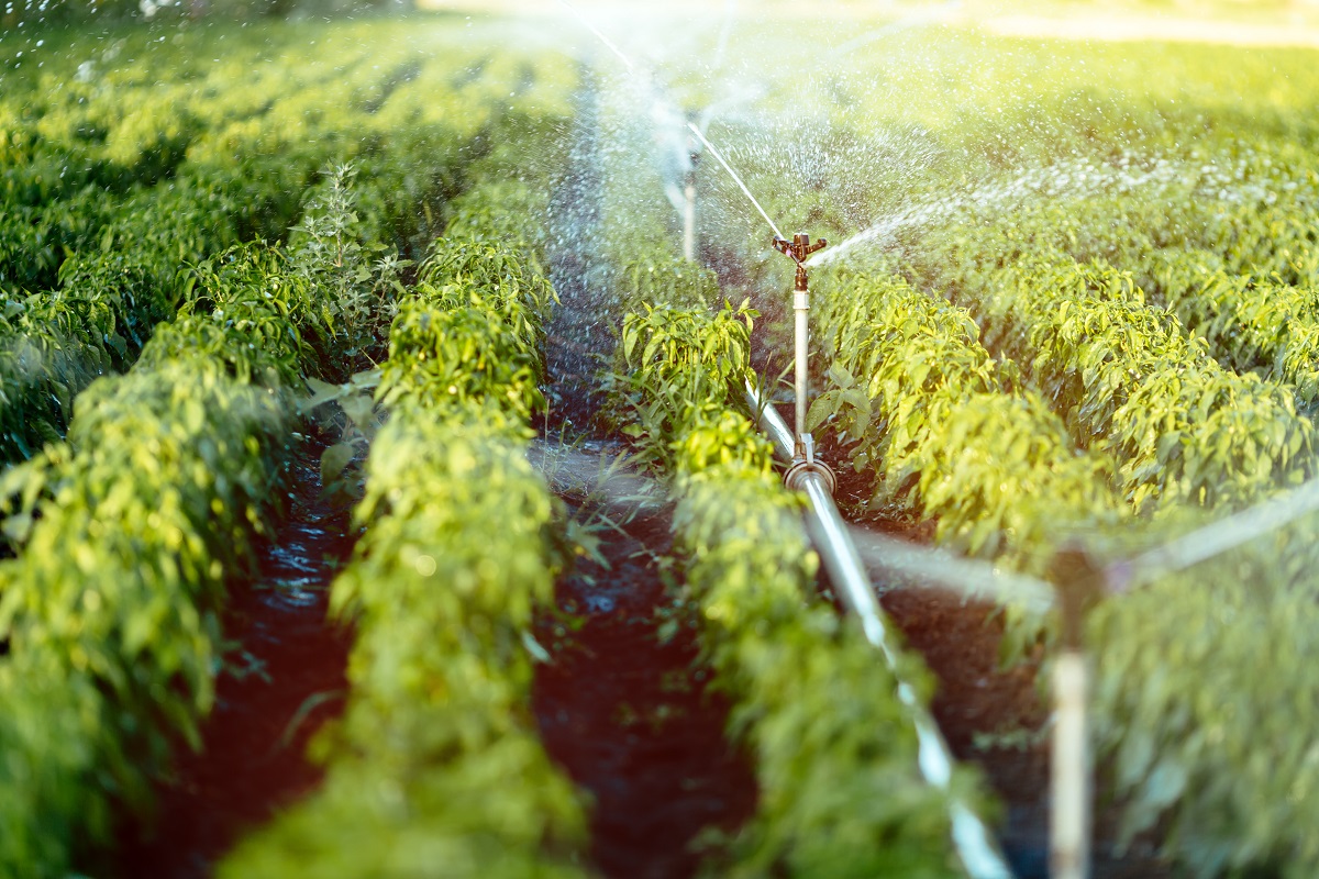 Como a osmose reversa ajuda a irrigação e a agricultura?